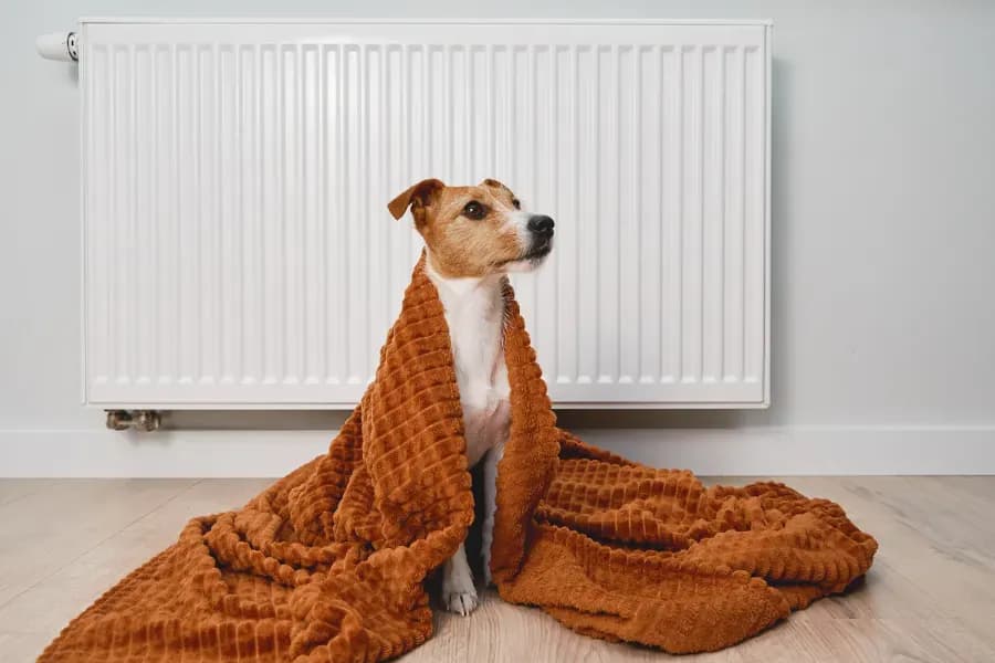 Effiziente Heiztechnik für kalte Wintertage